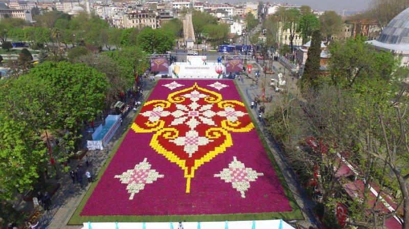 Dünyanın en büyük canlı lale halısı Sultanahmet'te