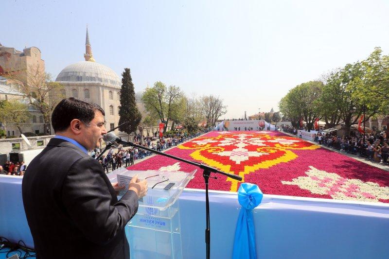 Dünyanın en büyük canlı lale halısı Sultanahmet'te