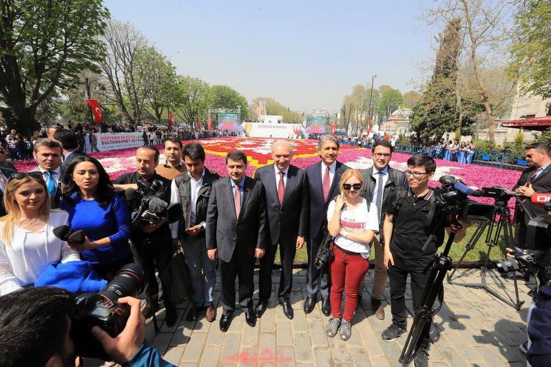 Dünyanın en büyük canlı lale halısı Sultanahmet'te