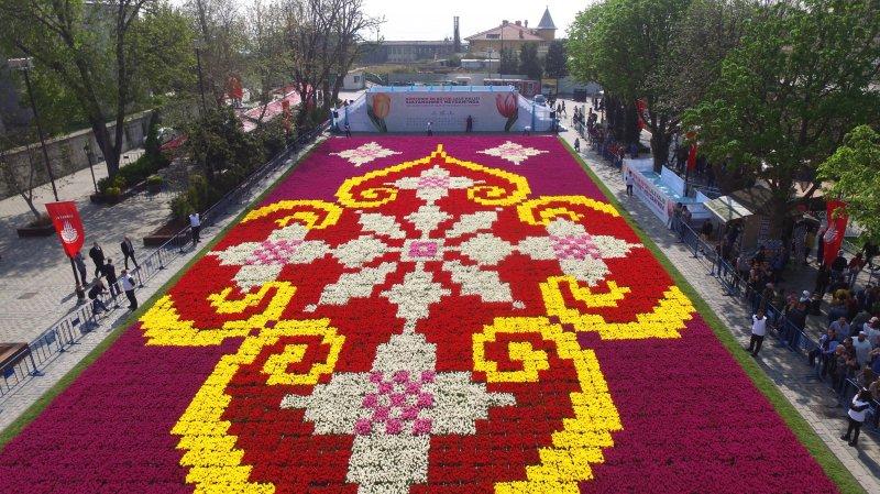 Dünyanın en büyük canlı lale halısı Sultanahmet'te