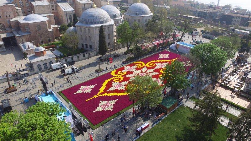 Dünyanın en büyük canlı lale halısı Sultanahmet'te