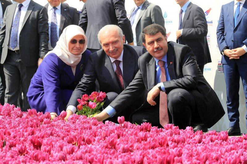 Dünyanın en büyük canlı lale halısı Sultanahmet'te