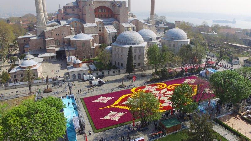 Dünyanın en büyük canlı lale halısı Sultanahmet'te