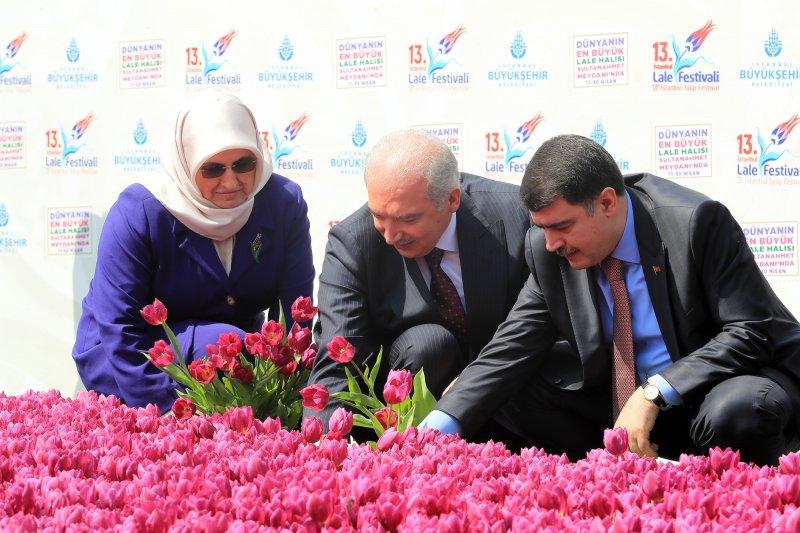 Dünyanın en büyük canlı lale halısı Sultanahmet'te
