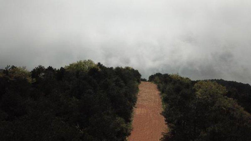 İstanbul Boğazı'nda sis gemiler için kabus oldu