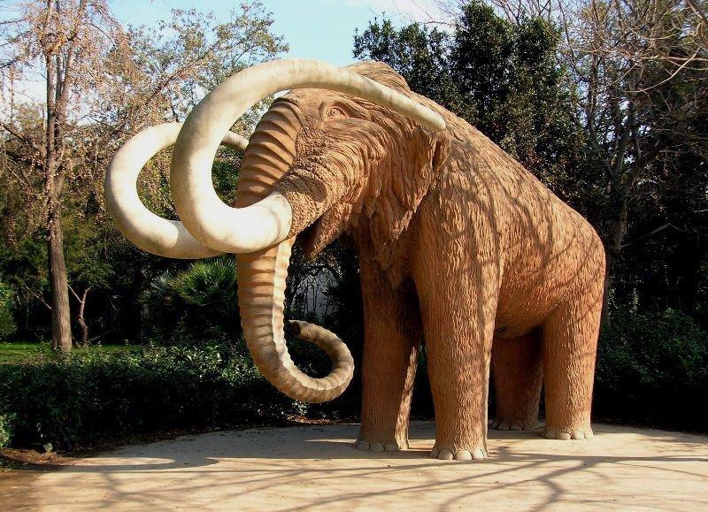 4 bin yıl önce soyları tükenen tüylü mamutlar hayata döndürülüyor