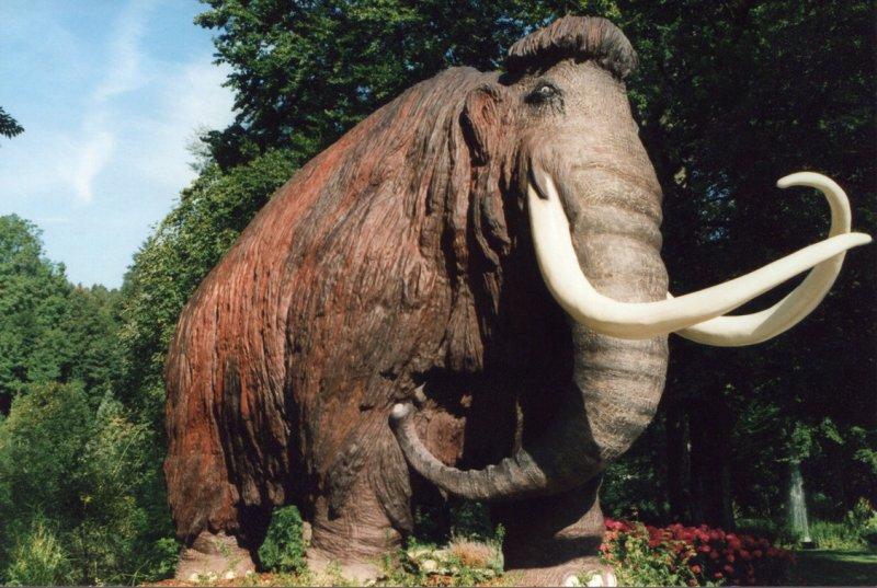 4 bin yıl önce soyları tükenen tüylü mamutlar hayata döndürülüyor