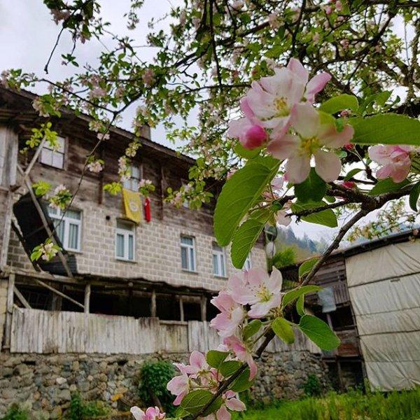 Rize'den kartpostallık görüntüler 