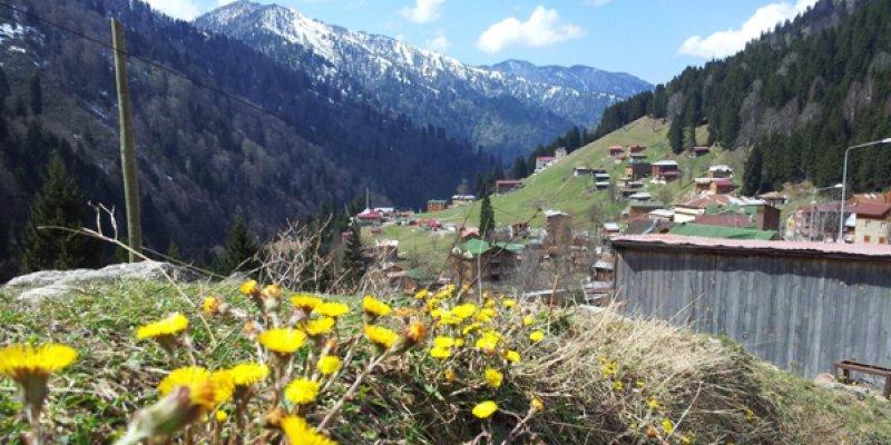 Rize'den kartpostallık görüntüler 