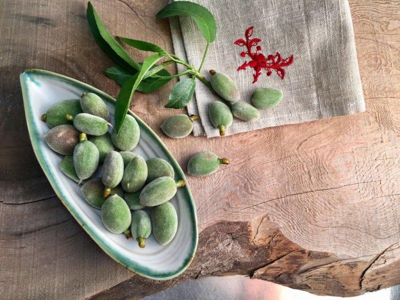 Çağla meyvesinin bilinmeyen faydaları