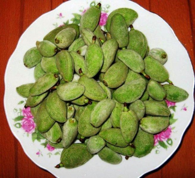 Çağla meyvesinin bilinmeyen faydaları