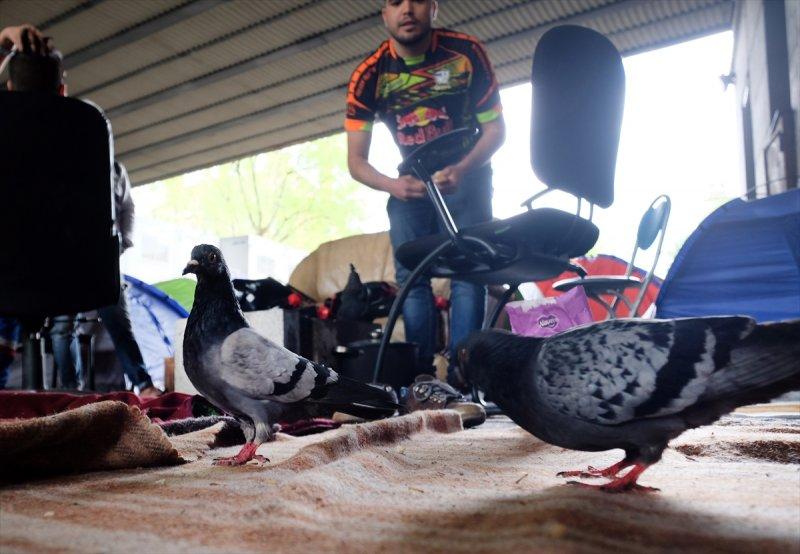 Paris sokaklarında yaşayan sığınmacılar