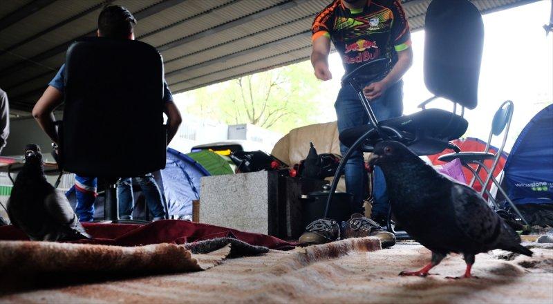 Paris sokaklarında yaşayan sığınmacılar