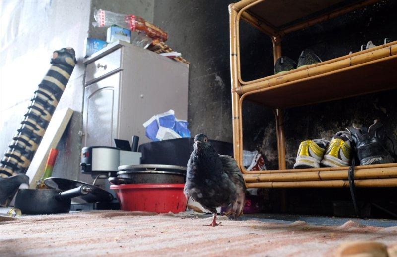 Paris sokaklarında yaşayan sığınmacılar