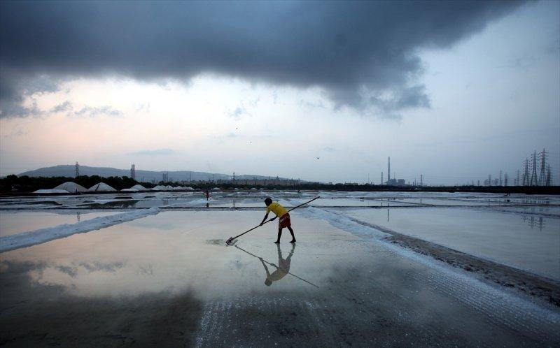 Hindistan Bombay'da tuz hasadı