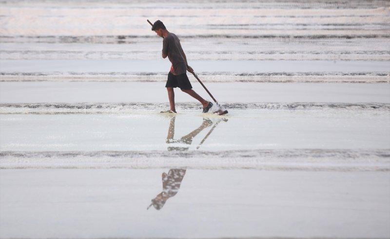 Hindistan Bombay'da tuz hasadı