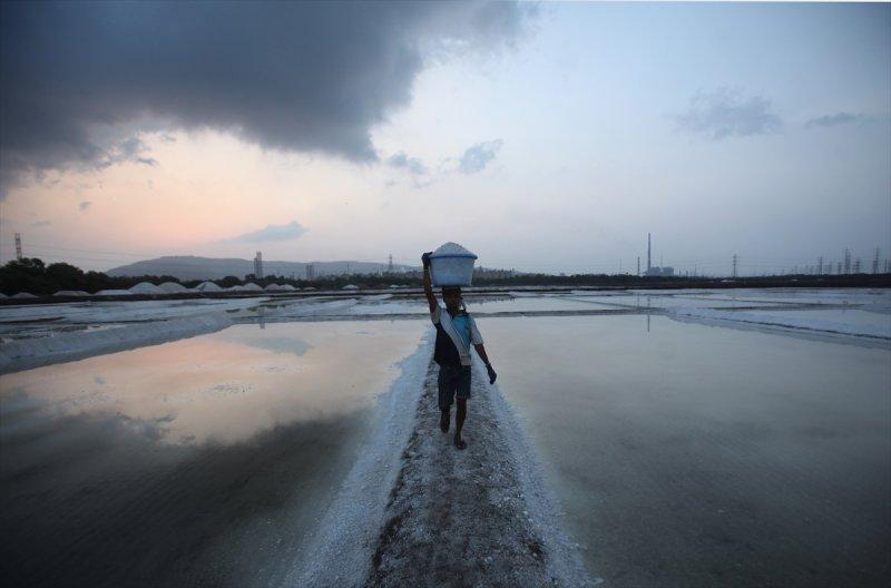 Hindistan Bombay'da tuz hasadı