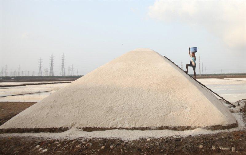 Hindistan Bombay'da tuz hasadı