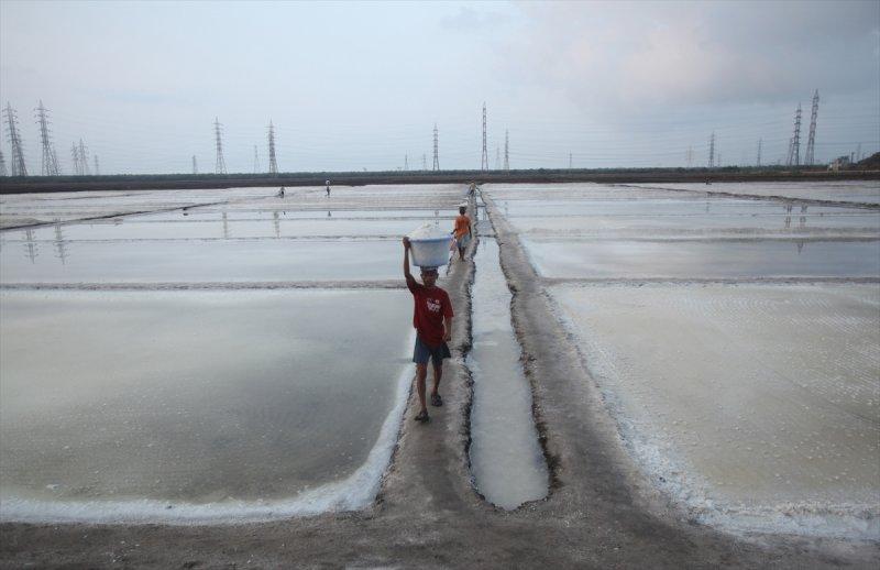 Hindistan Bombay'da tuz hasadı