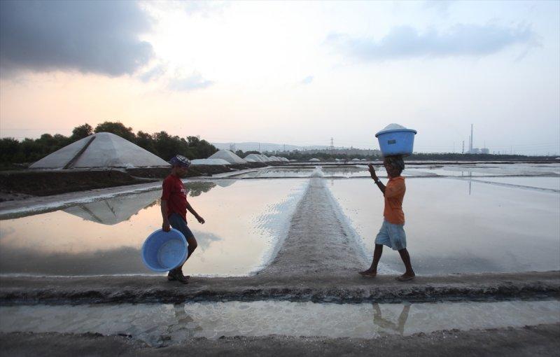 Hindistan Bombay'da tuz hasadı
