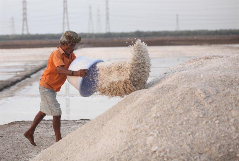 Hindistan Bombay'da tuz hasadı