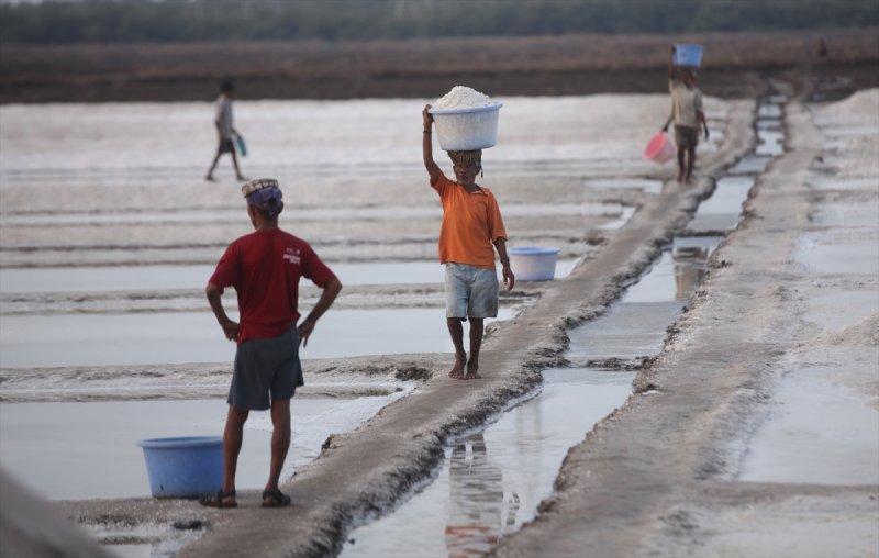 Hindistan Bombay'da tuz hasadı