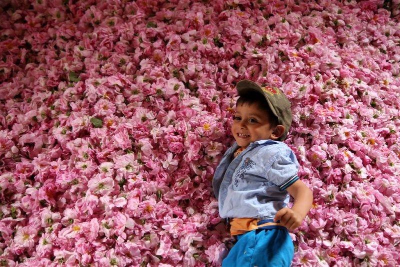 Turistlerin yeni gözdesi: Isparta gül bahçeleri