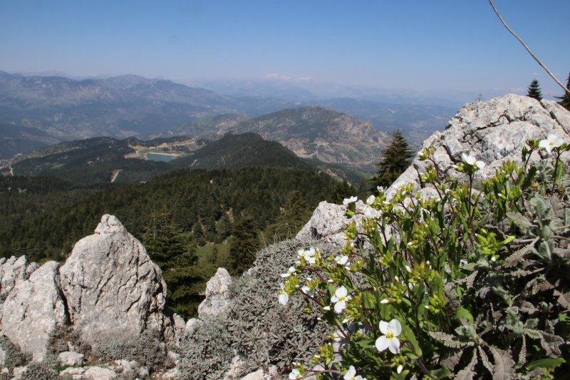 Kahramanmaraş'ın Başkonuş Yaylası ilgi görüyor