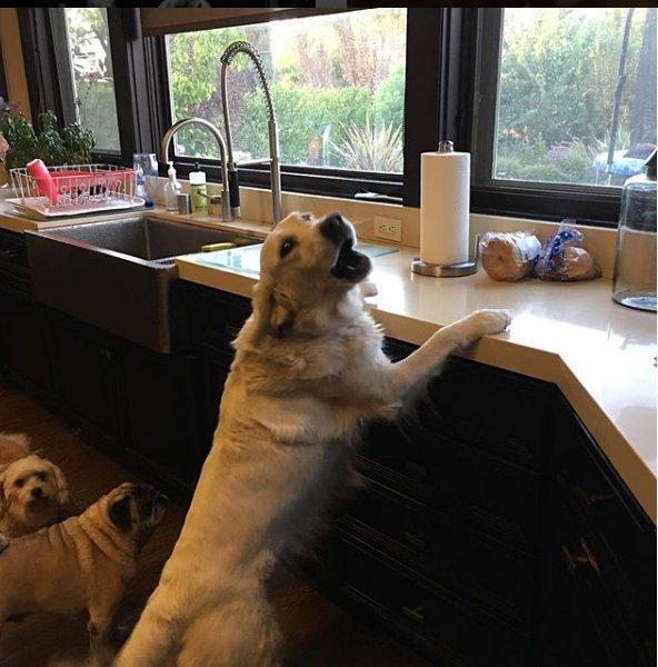 Güzel oyuncu Denise Richards’ın muhteşem evi 