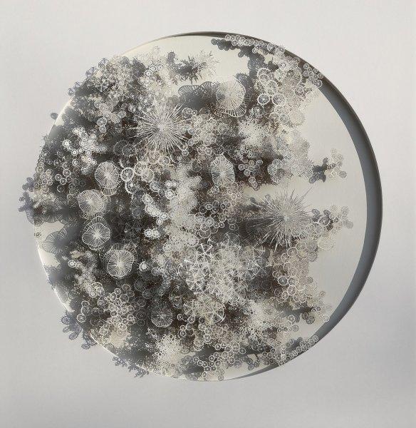 İnsan vücudundaki bakteriler kağıtlarla resmedildi