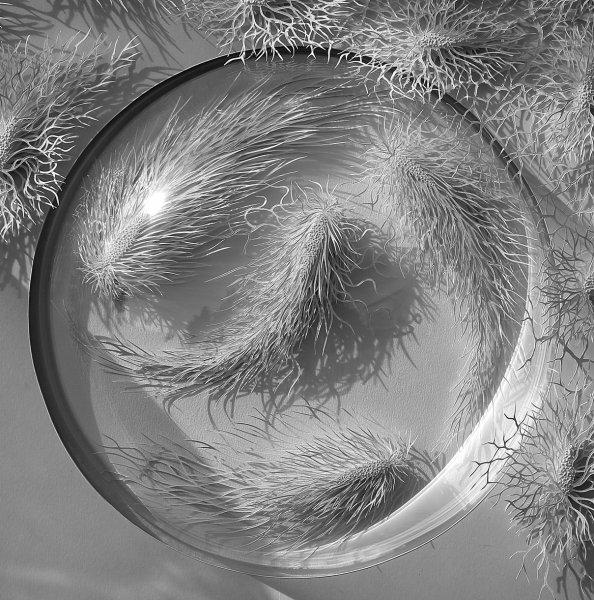 İnsan vücudundaki bakteriler kağıtlarla resmedildi