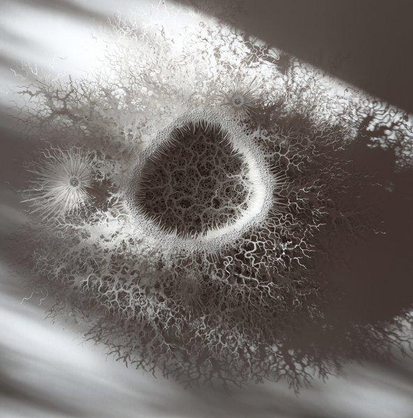 İnsan vücudundaki bakteriler kağıtlarla resmedildi