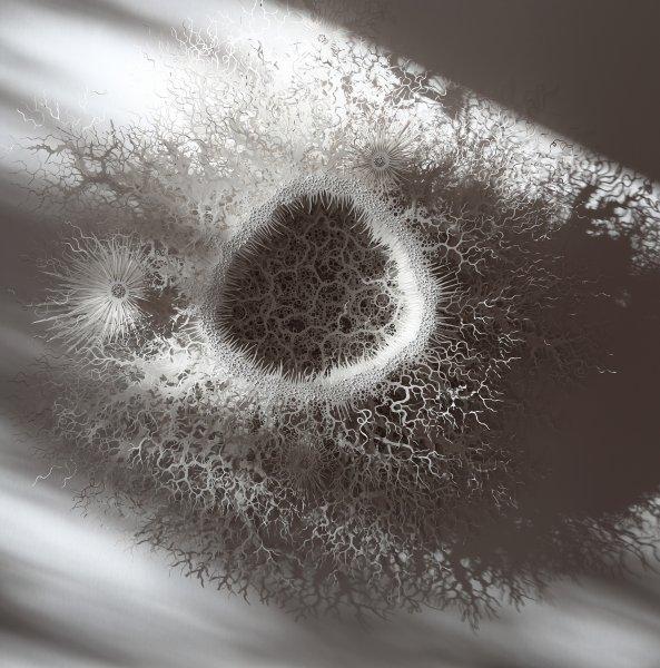 İnsan vücudundaki bakteriler kağıtlarla resmedildi