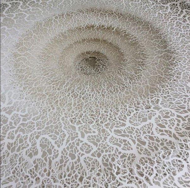 İnsan vücudundaki bakteriler kağıtlarla resmedildi