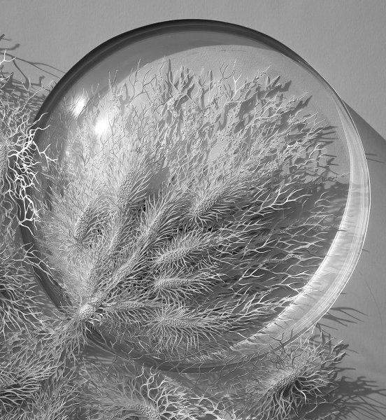 İnsan vücudundaki bakteriler kağıtlarla resmedildi