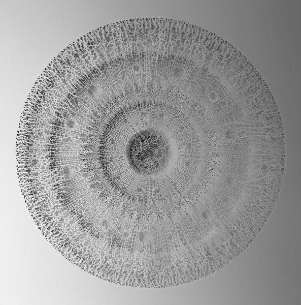 İnsan vücudundaki bakteriler kağıtlarla resmedildi