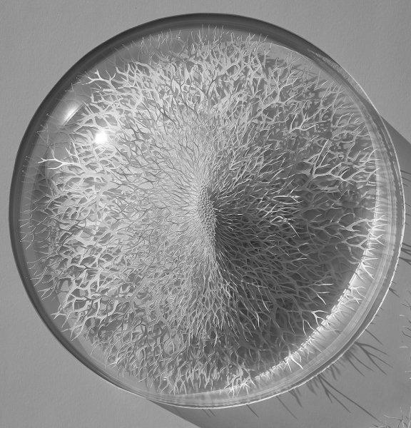 İnsan vücudundaki bakteriler kağıtlarla resmedildi