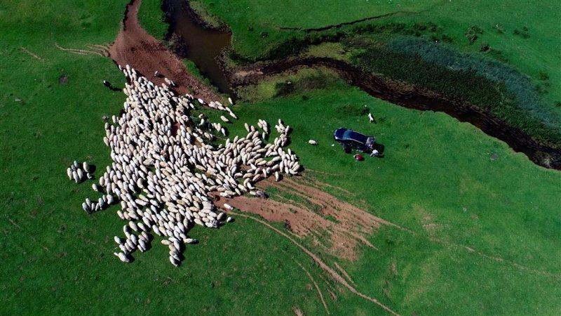 Ordu'nun doğa harikası: Perşembe Yaylası