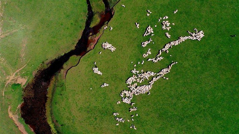 Ordu'nun doğa harikası: Perşembe Yaylası