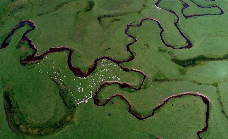 Ordu'nun doğa harikası: Perşembe Yaylası