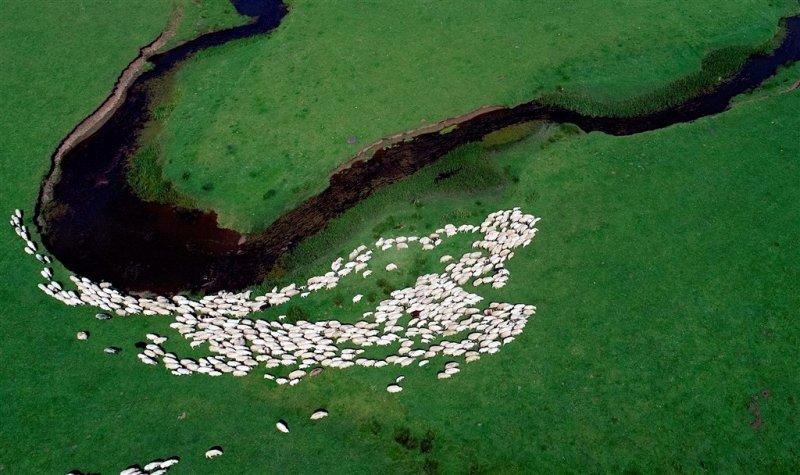 Ordu'nun doğa harikası: Perşembe Yaylası