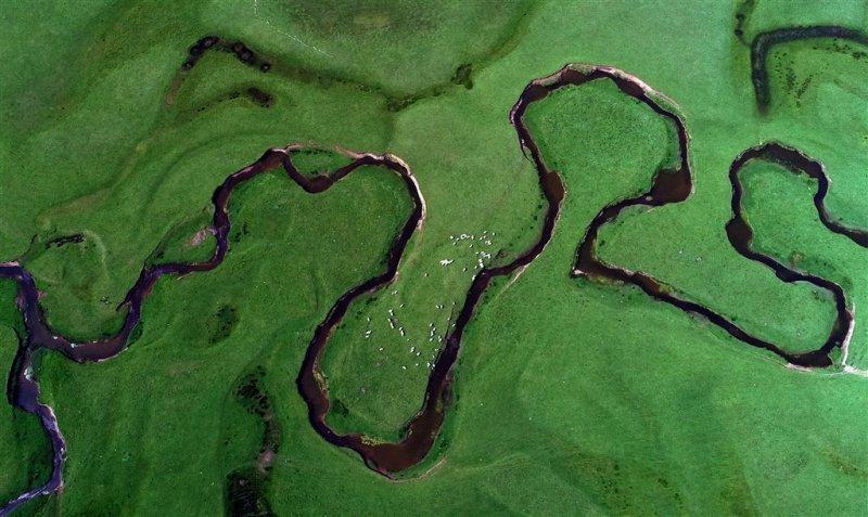 Ordu'nun doğa harikası: Perşembe Yaylası