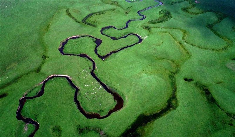 Ordu'nun doğa harikası: Perşembe Yaylası