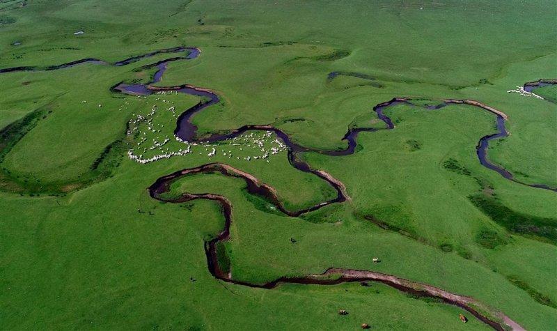 Ordu'nun doğa harikası: Perşembe Yaylası