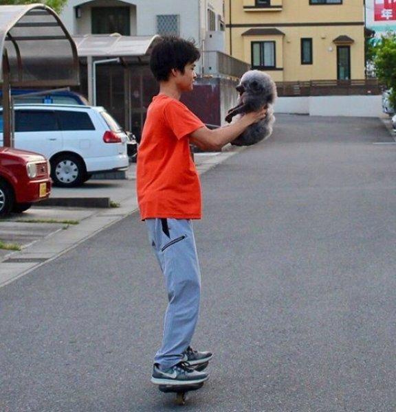 Sevimli köpek Susam