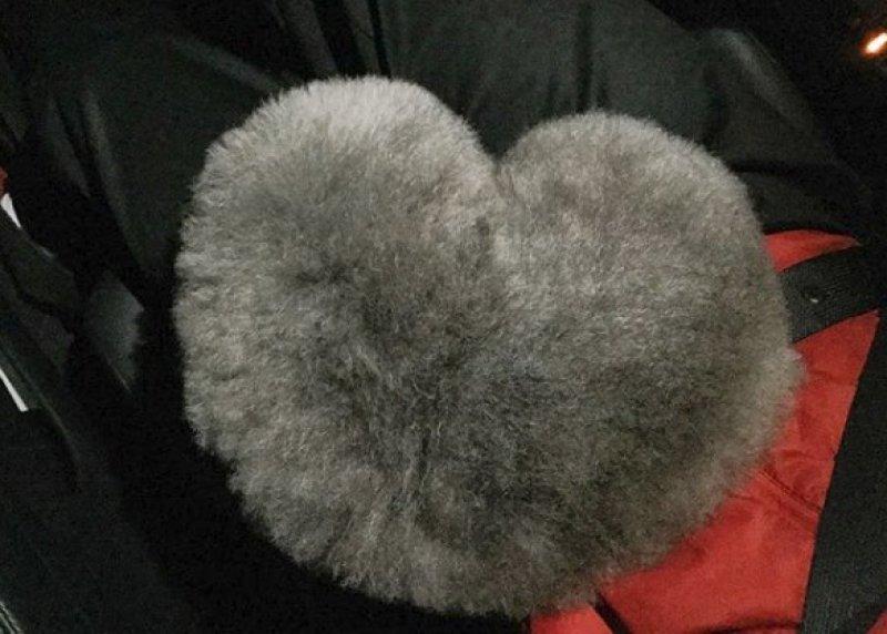 Sevimli köpek Susam