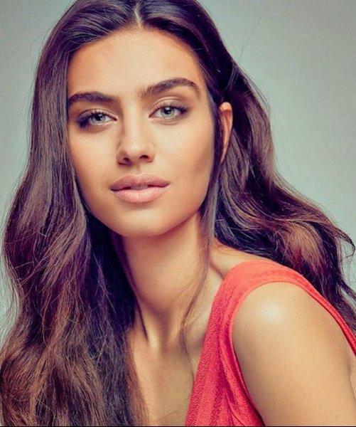 Amine Gülşe'den Mesut Özil'e destek