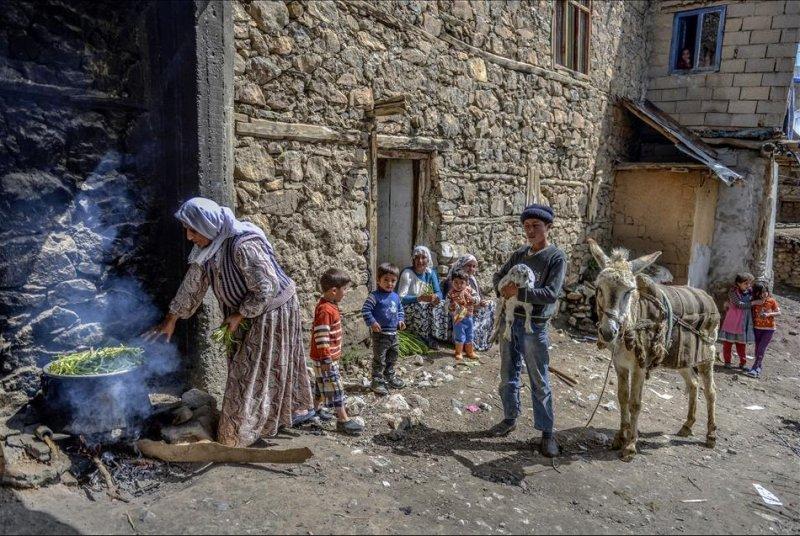 Van otlu peynirinin üretim süreci