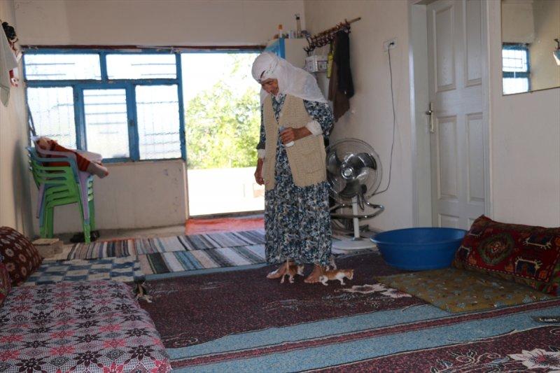 Anneleri ölen kediye 96 yaşındaki kadın sahip çıktı