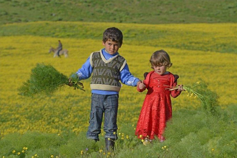 Van otlu peynirinin üretim süreci